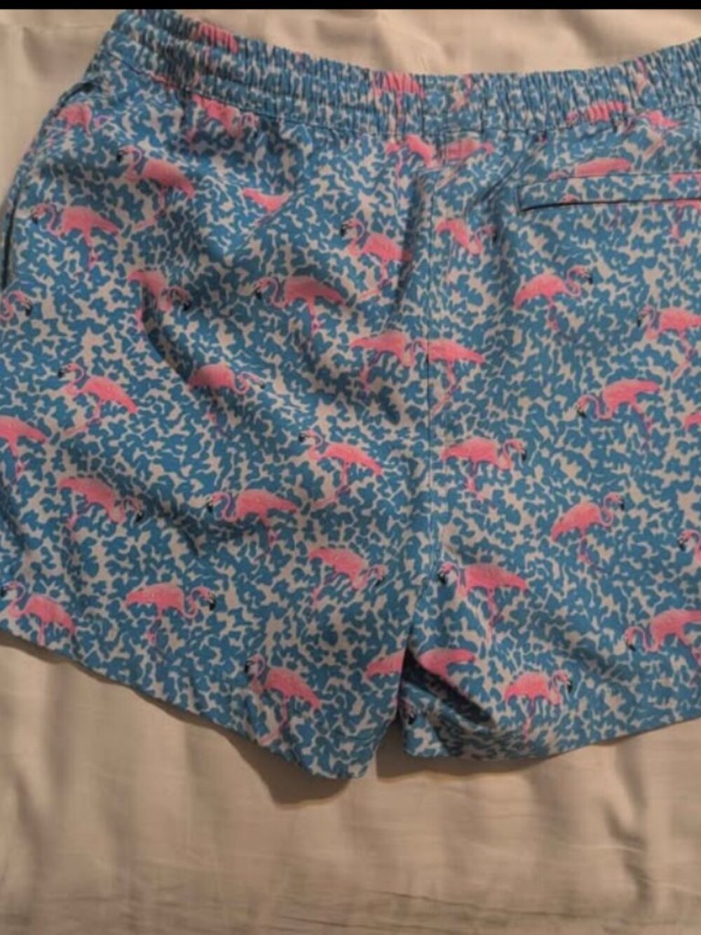 Chubbies Swim Trunks - Picture 2 of 4